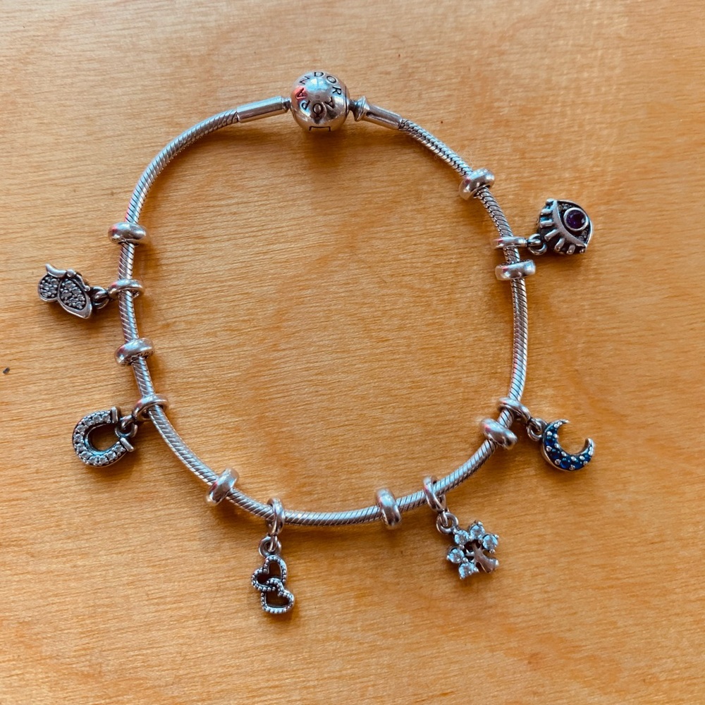 Thin Pandora Charm Bracelet